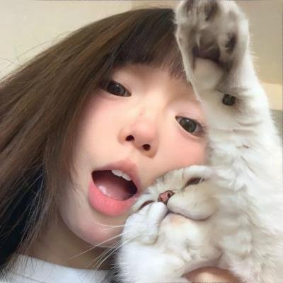 蝙蝠女侠第三季